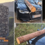 "Zici că suntem în Final Destination!" Un buștean a zburat dintr-un TIR cu lemne și s-a înfipt în parbrizul unui Audi, pe un drum din Brașov