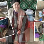 Bătrânica Maria își trăiește ultimii ani ai vieții în condiții de neimaginat. Locuiește într-o casă care stă să cadă pe ea, printre șobolani care și-au făcut cuiburi în pereți