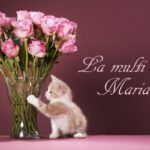 Mesaje de Sfânta Maria 2023. Cele mai frumoase urări și felicitări. Cui spui ”La mulți ani” pe 15 august