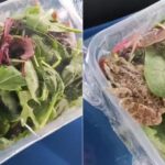 O tânără a cumpărat salată din supermarket și când s-a uitat mai atent a observat că ceva se mișcă în pachet: ”E cu surprize”