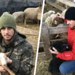 Andrei, un tânăr de 25 de ani, a renunțat la profesia de polițist pentru a deveni fermier. El deține o fermă de 600 de oi