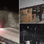 La munte a venit iarna, este frig și ninge de ore bune. La Rânca s-a depus deja strat de zăpadă