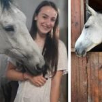 "Aș face orice, numai să o am iar alături". Apelul unei studente din Cluj, care caută cu disperare calul de de care s-a ataşat şi pe care încearcă să îl salveze