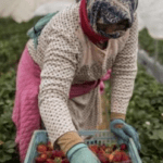 Povestea unei românce care a muncit în Italia. „Vai, ce ne-au chinuit! Ne dădeau mâncare cu porția”