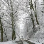 Ger cumplit în România! Va fi o iarnă așa cum nu s-a mai văzut. Ce spun meteorologii