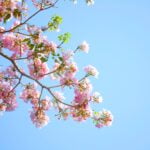 Astenia de primăvară poate aduce probleme grave. Cum poți să o combați