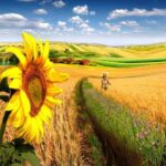 Solstițiu de vară 2024. Ce să nu faci niciodată în această zi! E strict interzis