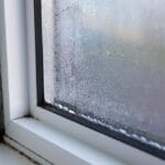 Planta pe care trebuie să o pui la fereastră! Elimină rapid mucegaiul și umezeala din casă