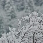 Când va ninge în București în acest sezon. Pe români îi așteaptă o iarnă așa cum nu s-a mai văzut