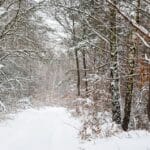 Cum va fi vremea de Ziua Națională a României. Unde va ninge în țara noastră