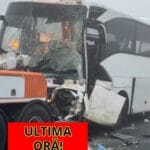 Autoritățile sunt în stare de șoc! Accident rutier cumplit din cauza ceții! 11 oameni și-au pierdut viața, iar 50 se află în stare gravă