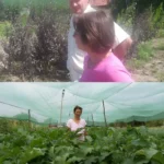 O familie din Arad a invatat de pe internet cum sa faca bani. Au inceput in propria curte iar acum au o afacere care produce milioane