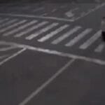 Şoferul care a rupt în două un pieton, pe trecere, cu 150 km/h, rămâne liber. Motivare controversată a judecătoarei