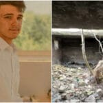 Ștefan s-a omorât la 23 de ani, în pădure. Nu ar fi mai suportat gândul că tatăl nu-l lasă să termine studiile și îl trimite la muncă