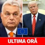 Viktor Orban, îndemnat de Donald Trump să părăsească Uniunea Europeană. Ce i-a răspuns premierul maghiar