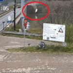 Momentul în care un microbuz a căzut în Dunăre, în Mehedinți. Accidentul, surprins de o cameră de supraveghere | VIDEO
