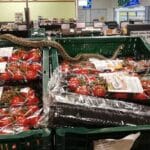 Șarpe uriaș printre roșiile la Kaufland România, șocul clienților când au văzut reptila