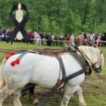 Dezvăluiri șocante despre moartea calului campion: „L-a forțat pe Falko să tragă 10 minute în plus, spre deliciul mulțimii”