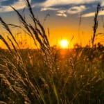 Solstițiu de vară 2025. Ce aduce cea mai lungă zi din an. Tradiții și obiceiuri neștiute