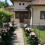 Au început controalele! S-au dat amenzi uriașe!