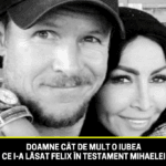 Dovada supremă de iubire. Ce i-ar fi lăsat, de fapt, Felix Baumgartner „A vrut să se asigure a că ajung la ea de aia a mers la notar”