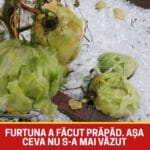 Așa furtună nu s-a mai văzut. A măturat totul în cale, iar pagubele sunt uriașe