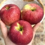 Medicii avertizează: ce efecte neașteptate poate avea consumul de mere