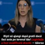 Poți face închisoare dacă tai copaci din curtea ta? Ce spune legea și când tăierea devine infracțiune