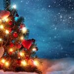 Cum să îți alegi bradul pentru Crăciun. 7 sfaturi utile pentru a avea un pom de invidiat