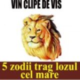 Horoscop financiar decembrie 2025. Trei zodii primesc bani și surprize neașteptate de la Univers