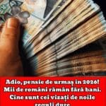 Adio, pensie de urmaș în 2026! Mii de români rămân fără bani. Cine sunt cei vizați de noile reguli dure