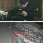S-a aflat cine sunt cei doi minori care i-au luat viața lui Alin. Ce au surprins camerele de supraveghere din ultimele clipe de viață