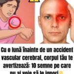 Semnele timpurii ale accidentului vascular cerebral: cum recunoști rapid un AVC și de ce intervenția imediată contează