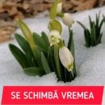 Vremea se schimbă radical în România: frig, ploi și chiar ninsori până de Paște