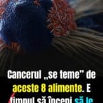 8 alimente care pot ajuta organismul în fața cancerului. Ce spun studiile despre puterea farfuriei