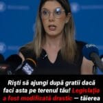 Poți face închisoare dacă tai copaci din curtea ta? Ce spune legea și când tăierea devine infracțiune