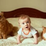 Cum ajută pisicile bebelușii atunci când cresc împreună. Lucruri pe care puțină lume le știe!