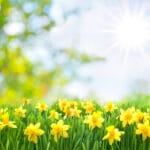 Meteorologii Accuweather au actualizat prognoza meteo! Cum va fi vremea în luna mai