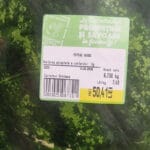 Cezar din București a dat 50 de lei pe un pepene din Carrefour. Surpriza neplăcută pe care a avut-o când l-a tăiat