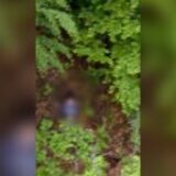 Alexandru, băiețelul de 5 ani dispărut în Sibiu, a fost găsit în viață după aproape două zile de căutări