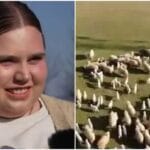 Noemi Vaida, adolescenta din Maramureș care muncește la stână după moartea tatălui. Povestea ei a impresionat o țară întreagă