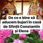 Bujorii de Sfinții Constantin și Elena. De ce se spune că este bine să îi aduci în casă în zi de sărbătoare