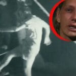 Antena 1 a difuzat imaginile scandalului de la Survivor. Ce s-a întâmplat, de fapt, cu Gabi Tamaș