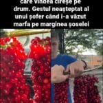 Un băiat din Iași a devenit viral după ce a vândut cireșe în buchete la marginea drumului. Gestul care i-a cucerit pe oameni