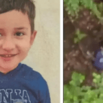 Alexandru, copilul găsit după două zile în pădure, avea mușcături pe corp. Ce au anunțat medicii despre starea lui
