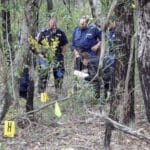 Profesoară de psihologie, găsită fără viață la marginea unei păduri. Tânăra avea doar 28 de ani
