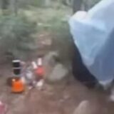 Misterul unei dispariții vechi de 17 ani, redeschis într-un parc național