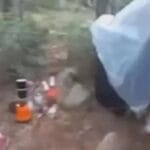 Misterul unei dispariții vechi de 17 ani, redeschis într-un parc național