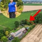 O femeie de 79 de ani se luptă să salveze un stejar vechi de 500 de ani. Refuză să-și vândă grădina pentru construirea unui drum de 52 de milioane de euro