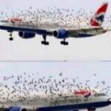 Adevărul despre fotografia virală cu sute de păsări în jurul unui avion British Airways
